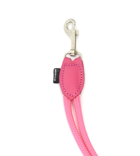 dog grooming restrain