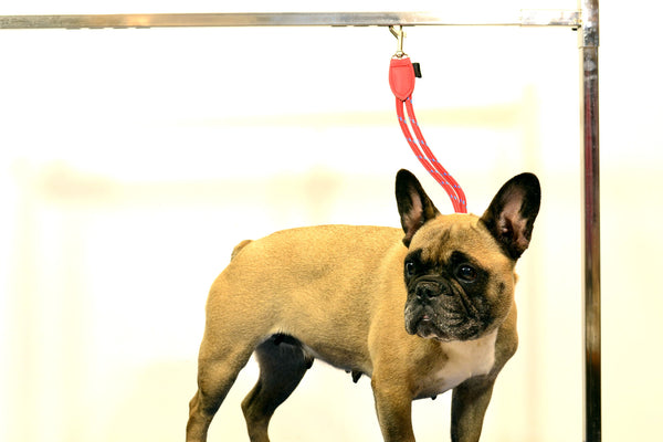 grooming neck strap