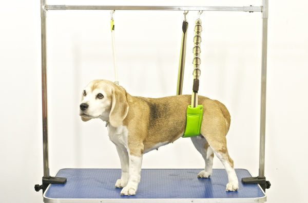 safety strap
