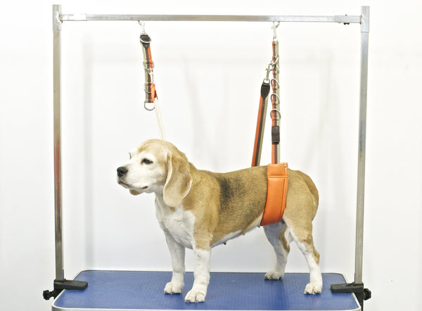 dog grooming safety extender