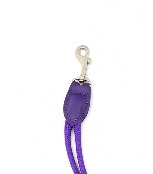 CleverGroom Purple (short)
