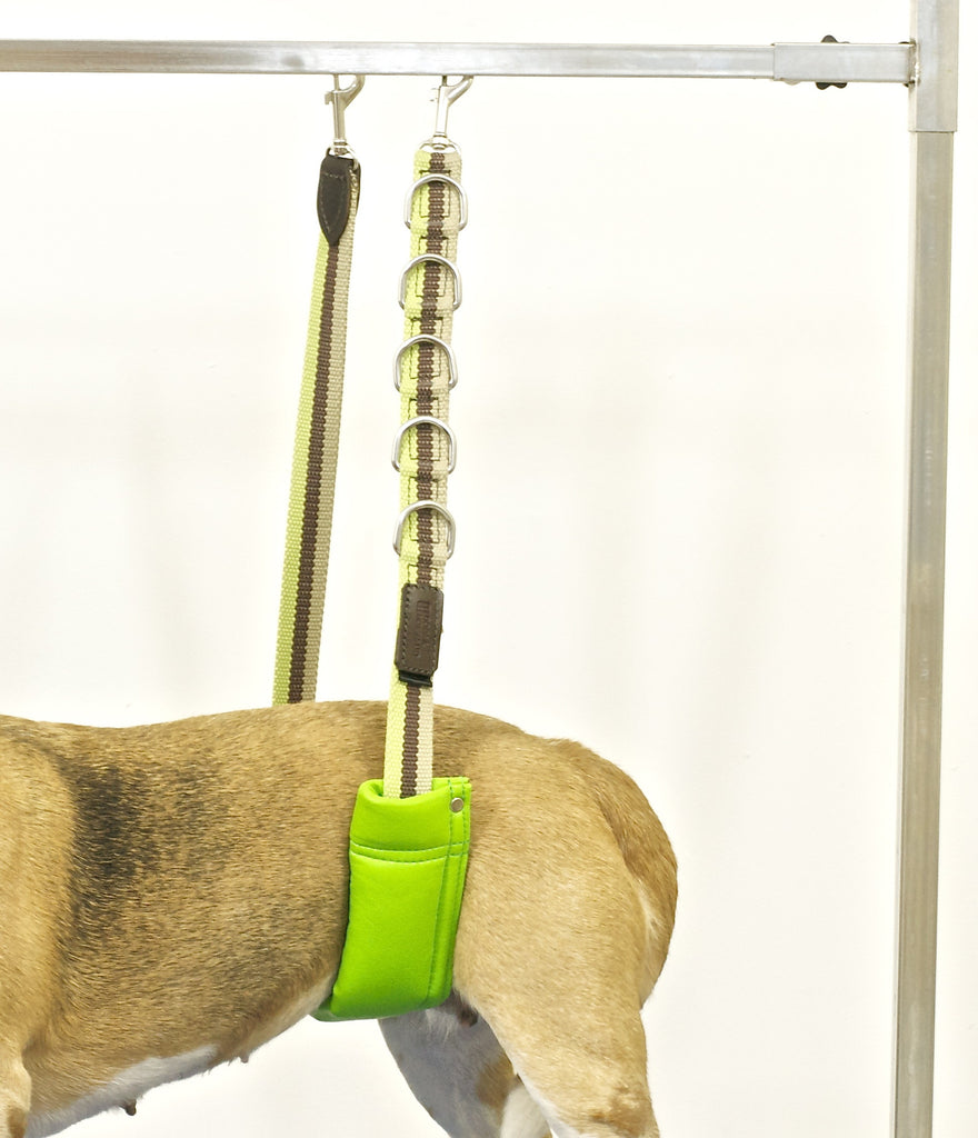 Belly Straps For Dog Grooming Belly Strap Spring