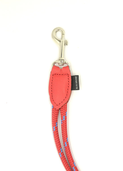 dog grooming restrain